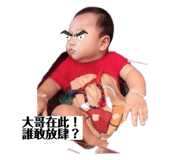 275365138