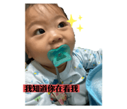275365146