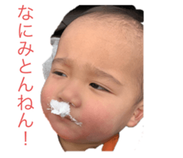 275442454