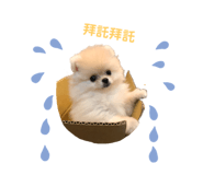 275500889