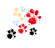 275500898
