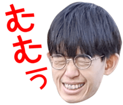275501637