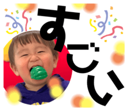 275530980