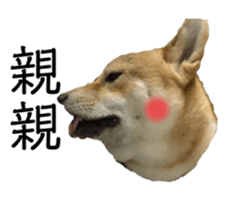 275533232