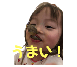 275556604