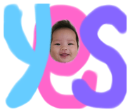 275557650