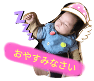 275557659