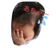 275557677
