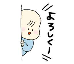 275561812