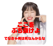 275572268