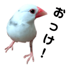 275583870