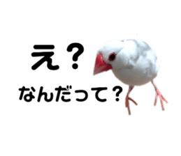 275583879