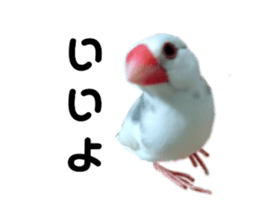 275583880