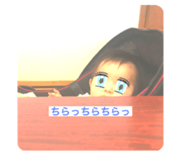 275710884