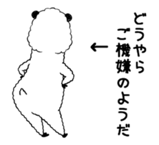27602029