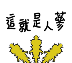 27603956