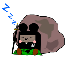 276117