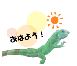 276118089