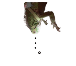 276118100