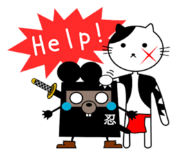 276128