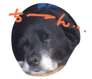 276229552