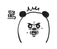 276255702