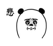 276255706
