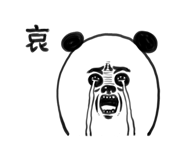 276255707
