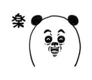 276255709