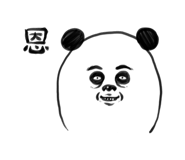 276255716