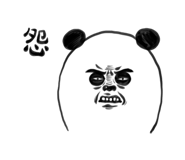 276255717