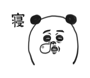 276255718