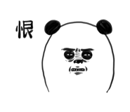 276255720