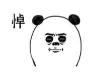 276255726