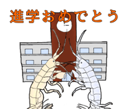 276264635