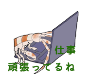 276264639