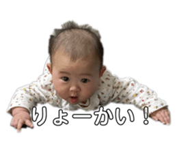 276321871