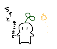 276354437