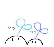 276354439