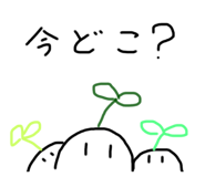276354443