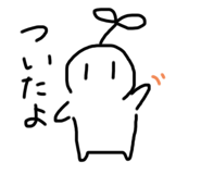 276354445