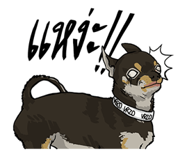 We are lovely pet รูปที่ 8