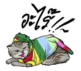 We are lovely pet รูปที่ 12