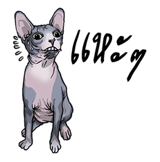 We are lovely pet รูปที่ 22