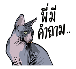 We are lovely pet รูปที่ 23