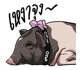 We are lovely pet รูปที่ 26