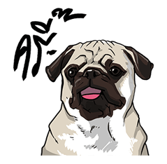 We are lovely pet รูปที่ 31