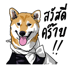 We are lovely pet รูปที่ 33