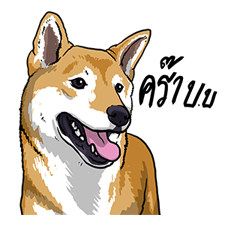 We are lovely pet รูปที่ 35