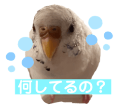 276389407